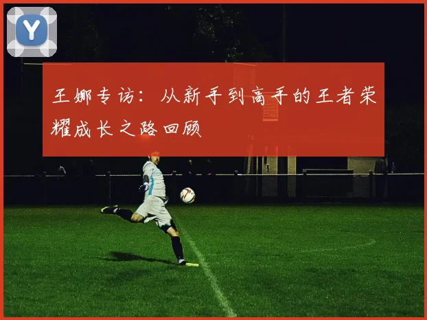 王娜专访：从新手到高手的王者荣耀成长之路回顾