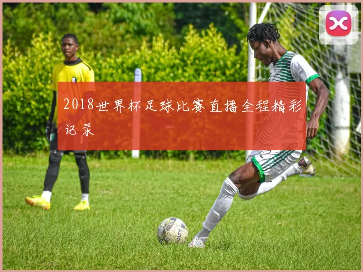 2018世界杯足球比赛直播全程精彩记录